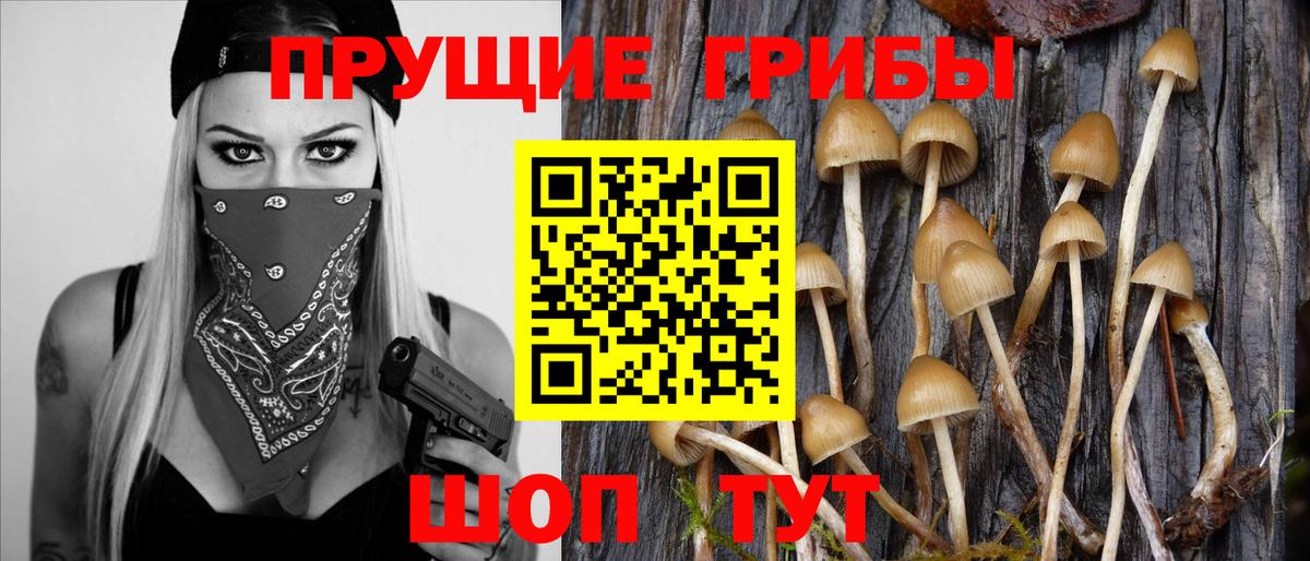 Алатырь  Галлюциногенные грибы MAGIC MUSHROOMS  Псилоцибиновые грибы прущие грибы  Вход с VPN 