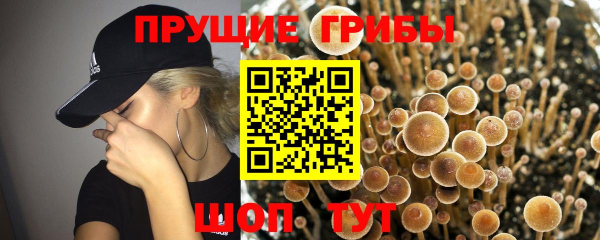 Псилоцибиновые грибы мухоморы Алатырь