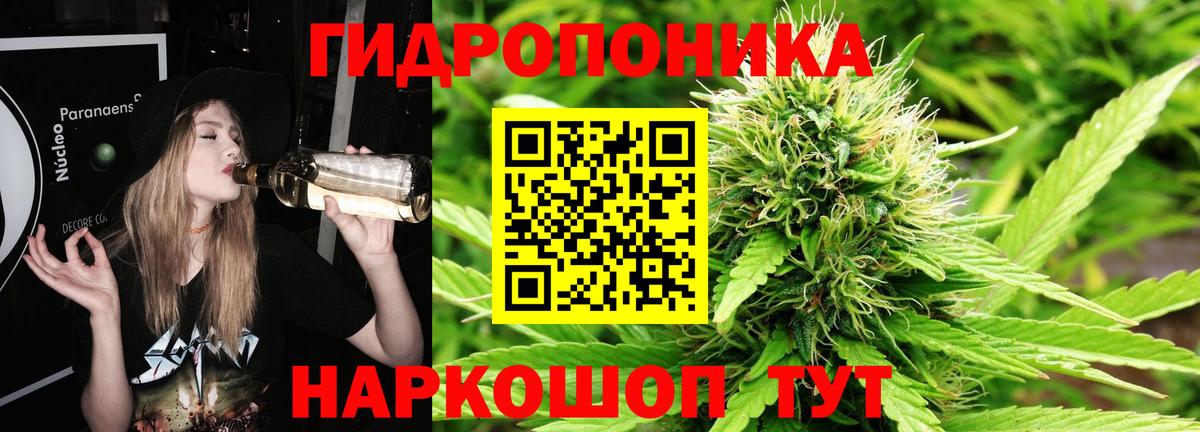 Шишки марихуана планчик  Вход с VPN  Алатырь  Шишки марихуана OG Kush  Шишки марихуана тримм  Конопля Ganja 